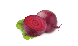 Remolacha