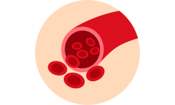 Hematopoyesis