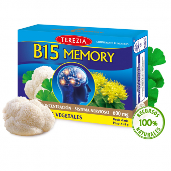 B15 MEMORY