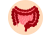 Tracto intestinal